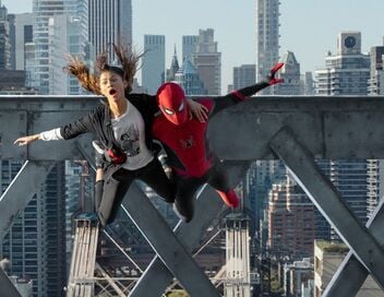 Spider-Man : No Way Home