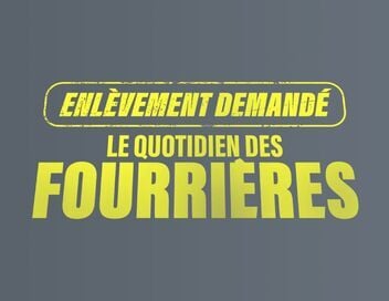 Enlèvement demandé : le quotidien des fourrières
