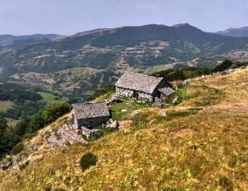 Des racines et des ailes