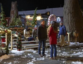 Un sapin de Noël, deux amoureux