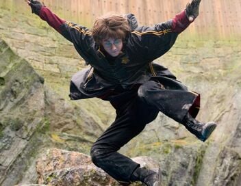 Harry Potter et la Coupe de feu