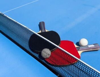 Tennis de table : WTT Champions de Montpellier