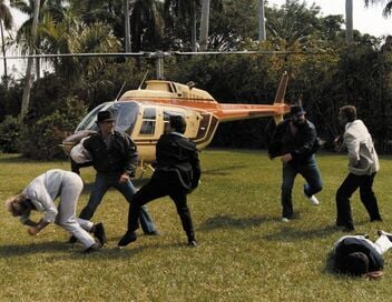 Les Super-flics de Miami