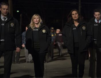 New York Unité Spéciale