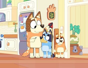 Bluey Minisodes