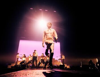 Pierre de Maere en concert au Zénith de Paris