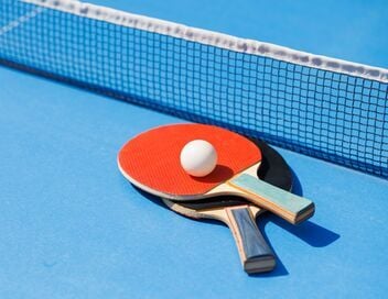Tennis de table : WTT Star Contender de Ljubljana