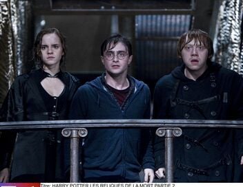 Harry Potter et les Reliques de la mort : 2e partie