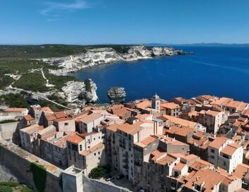 Des racines et des ailes