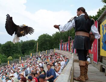 Puy du Fou : les secrets du parc d'attraction préféré des Français