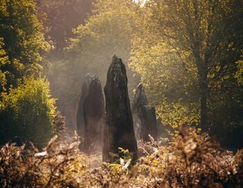 Celtes : les mystères d'une civilisation disparue