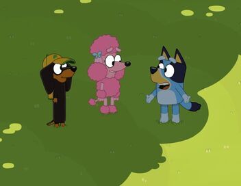 Bluey