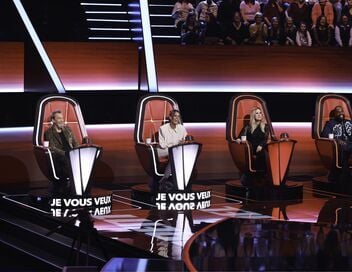 The Voice, la plus belle voix