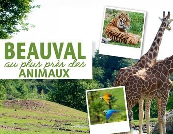 Beauval, au plus près des animaux